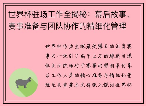 世界杯驻场工作全揭秘：幕后故事、赛事准备与团队协作的精细化管理